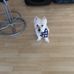 Arnold Lefkowitz - Facebook