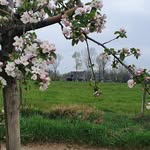 Arnold van der Linden - @sjilberg - Instagram