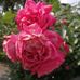 Arnold Linke - Facebook