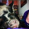 Arnolds.littles - @arnold.little - TikTok