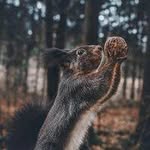 Arnold Little - @bobbyeracicotjtw0w7 - Instagram