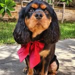 Little Arnold - @little_arnold_ - Instagram