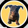Lord Arnold Otis - @lordarnold_minidax - TikTok