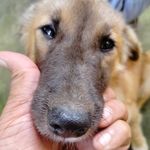 Arnold luzon - @arnold.luzon - Instagram