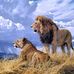 Arnold Lyon - Facebook