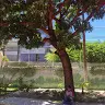 Arnold Machado - @arnoldmachado2 - TikTok