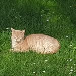 Arnold Mannigel - @arnold.mannigel - Instagram