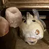 arnoldgoichmann - @arnoldgoichmann - TikTok