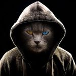 Arnold Marek - @arnoldmarek - Instagram