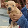 Arnold Marin - @arnold.marin0 - TikTok