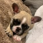 Arnold Marshall - @arnoldmarshnegger - Instagram