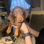 Arnold Mayoh - @arnold.mayoh - Instagram