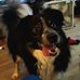 Arnold McGaughey - Facebook
