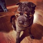 Arnold Mccall - @mccaarnold - Instagram