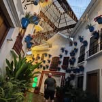 Arnold Gonzlez - @arnold_montes - Instagram