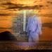 Arnold Moore - Facebook