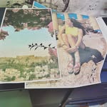 Arnold Nelson - @arnoldnelson283 - Instagram