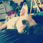 Arnold Nelson - @instarnoldchug - Instagram