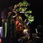 Arnold Ochoa - @arnold.ochoa1 - Instagram