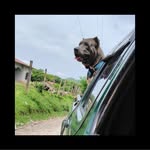 Arnold Ochoa - @arnold.ochoa.777 - Instagram