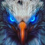 arnold phiri - @arnoldphiri086 - Instagram