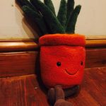 Arnold The House Plant 🌵 - @arnoldisapotnotaplant - Instagram