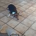 Arnold Pottinger - Facebook