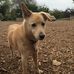 Arnold Pomerantz - Facebook