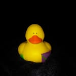 Arnold P - @arnold_poole - Instagram