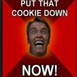 Arnold - @arnold_posts - Instagram