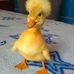 Arnold Powers - Facebook