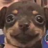 Arnold Ramos - @arnold.ramos2 - TikTok