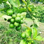 Arnold Rapalo - @rapalo16 - Instagram