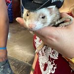 Arnoldo Rascon - @arnoldo.rascon - Instagram