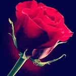 abhinav - @arnold_reedy - Instagram