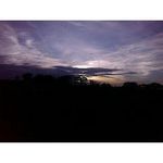 @arnold_reid - Instagram