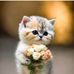 Arnold Reyes - Facebook