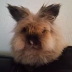 Arnold Rice - @rice.arnold - Instagram