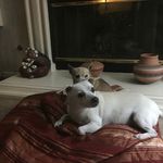arnold Rice - @arnoldrice678 - Instagram