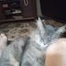 Arnold Richardson - Facebook