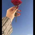 melvinbrooks726 - @arnoldriggs828 - Instagram