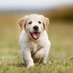 Arnold Roberts - @arnold_roberts1147 - Instagram