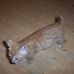 Arnold Robinson - Facebook