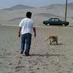 Arnold Roca Campos - @rocaarnold - Instagram
