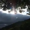 arnoldroche995 - @arnoldroche995arnoldroch - TikTok