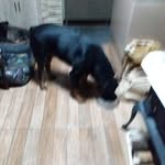 Romeo Arnold - @romeoarnold60 - Instagram