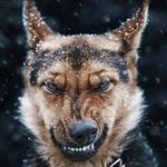 Arnold Rothstein - @rothsteinarnold - Instagram