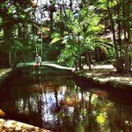 Faxan Rab - @arnoldrubinstein - Instagram