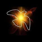 Arnold Saavedra - @arnoldsaavedra819 - Instagram