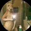 Arnold salas - @arnold3338 - TikTok